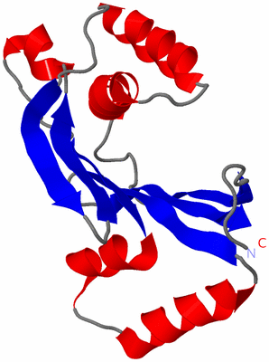 Image NMR Structure - model 1