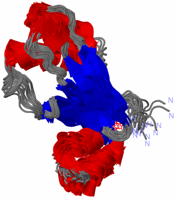 Image NMR Structure - all models