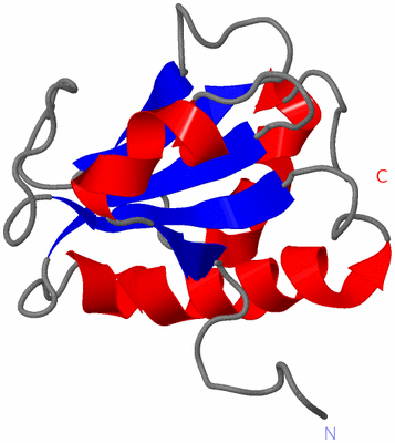 Image NMR Structure - model 1