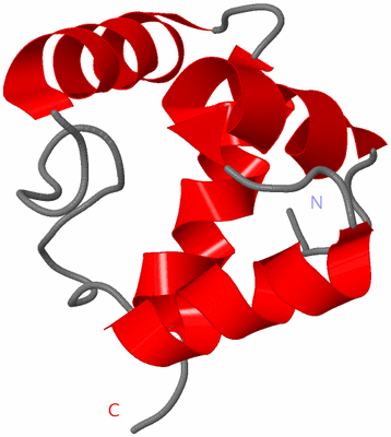 Image NMR Structure - model 1