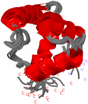 Image NMR Structure - all models