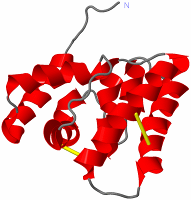 Image NMR Structure - model 1