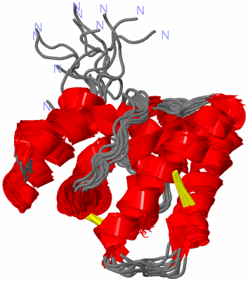 Image NMR Structure - all models