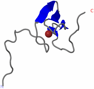 Image NMR Structure - model 1