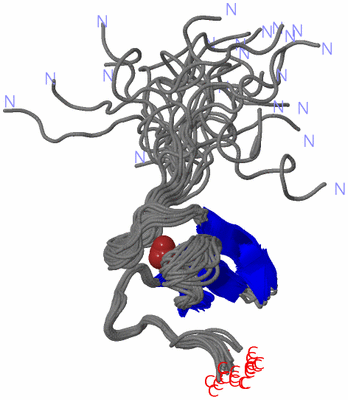 Image NMR Structure - all models