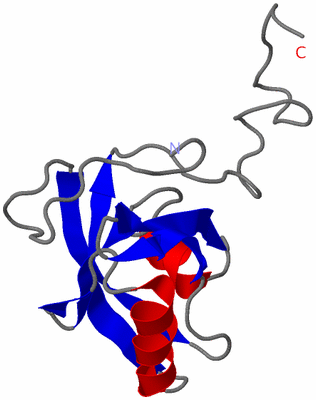 Image NMR Structure - model 1