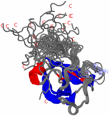 Image NMR Structure - all models