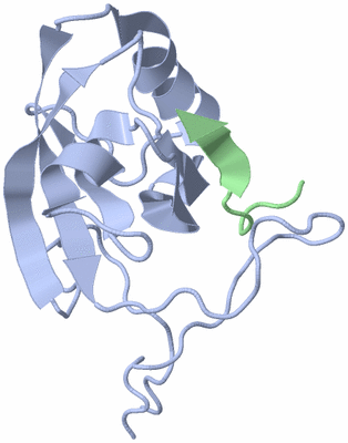 Image NMR Structure - model 1