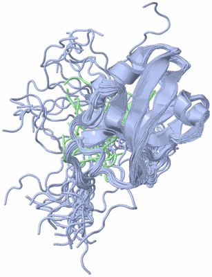 Image NMR Structure - all models