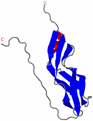 Image NMR Structure - model 1