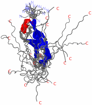 Image NMR Structure - all models