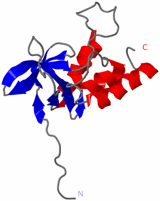 Image NMR Structure - model 1