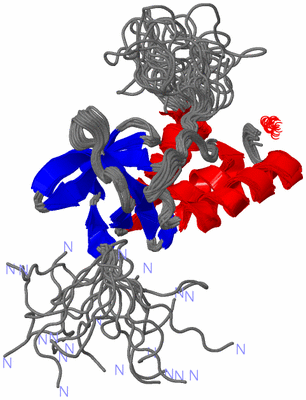 Image NMR Structure - all models