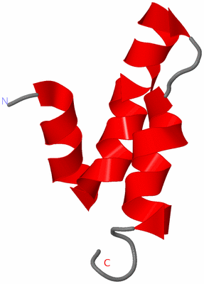 Image NMR Structure - model 1