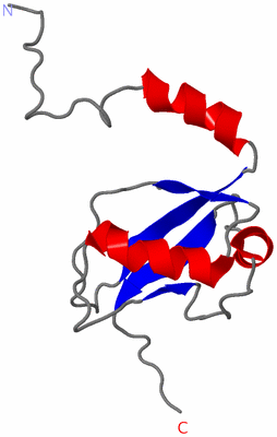 Image NMR Structure - model 1