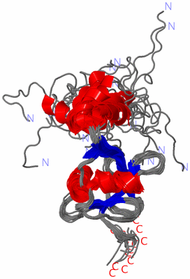 Image NMR Structure - all models