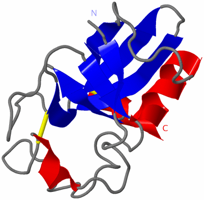 Image NMR Structure - model 1