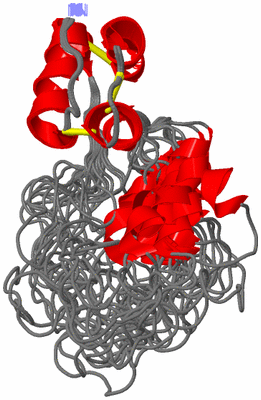 Image NMR Structure - all models