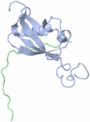 Image NMR Structure - model 1