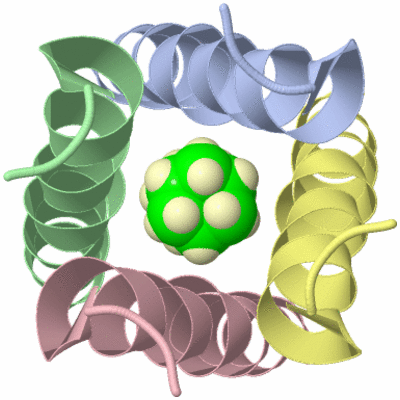 Image Asymmetric Unit