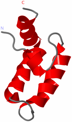 Image NMR Structure - model 1