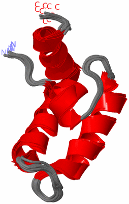 Image NMR Structure - all models