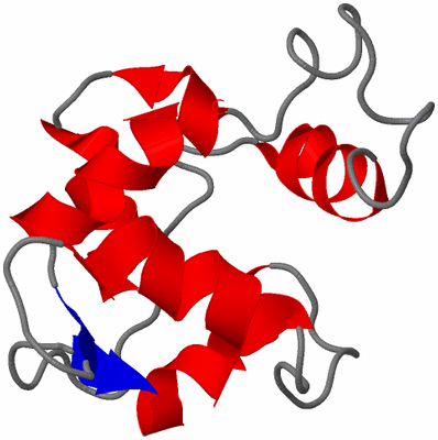 Image NMR Structure - model 1