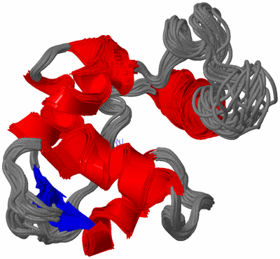 Image NMR Structure - all models