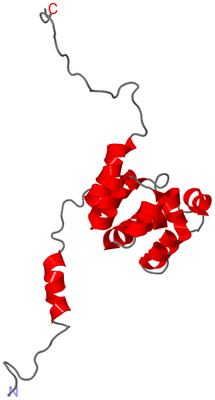 Image NMR Structure - model 1