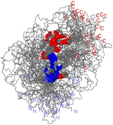 Image NMR Structure - all models