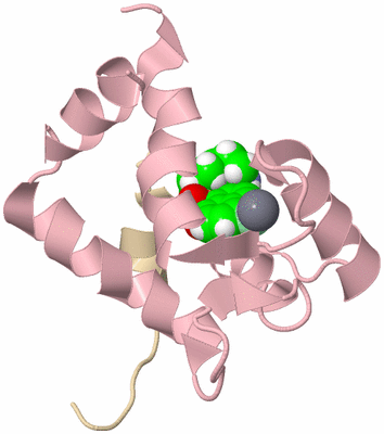 Image NMR Structure - model 1