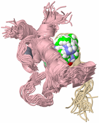 Image NMR Structure - all models