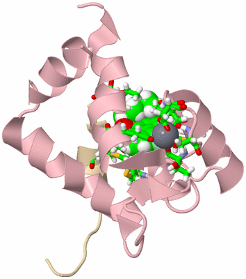 Image NMR Structure - model 1, sites