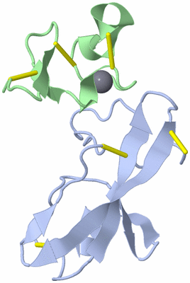 Image NMR Structure - model 1