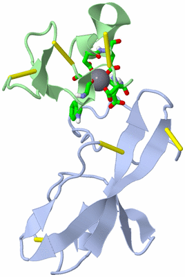 Image NMR Structure - model 1, sites