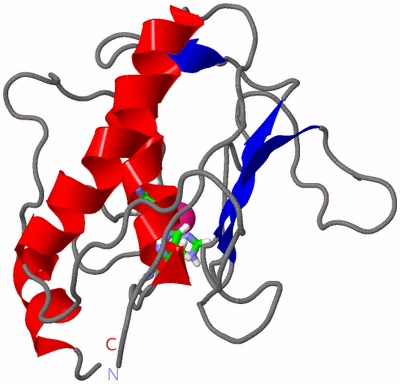 Image Asym. Unit - sites