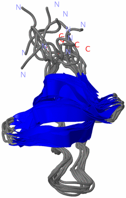 Image NMR Structure - all models