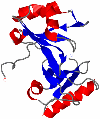 Image NMR Structure - model 1