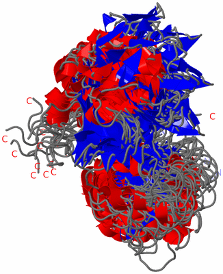 Image NMR Structure - all models