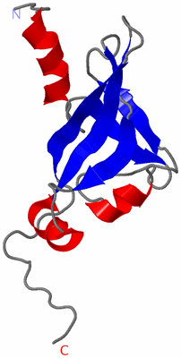 Image NMR Structure - model 1