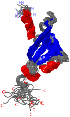 Image NMR Structure - all models