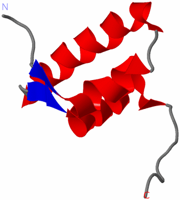 Image NMR Structure - model 1