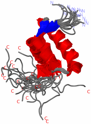 Image NMR Structure - all models