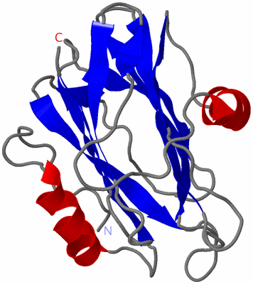 Image NMR Structure - model 1