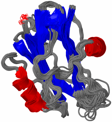 Image NMR Structure - all models