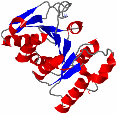 Image NMR Structure - model 1