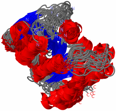 Image NMR Structure - all models