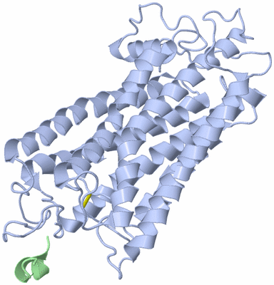 Image NMR Structure - model 1