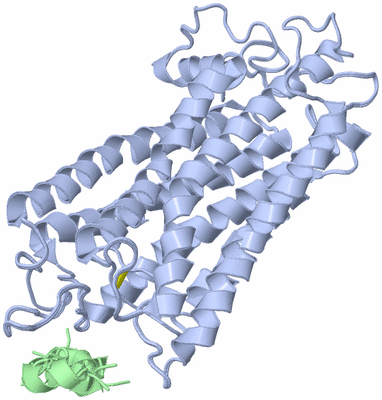 Image NMR Structure - all models