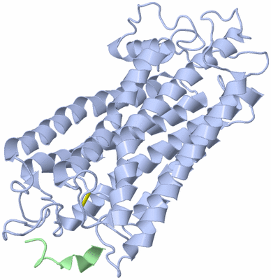 Image NMR Structure - model 1